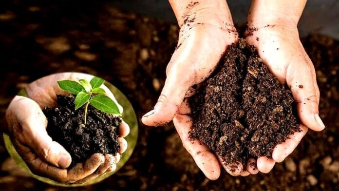 Vermicompost-For-Organic-Farming